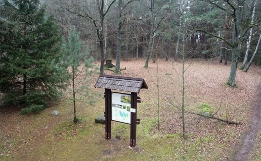 10_Akuočių dvaro senosios kapinės (2).jpg